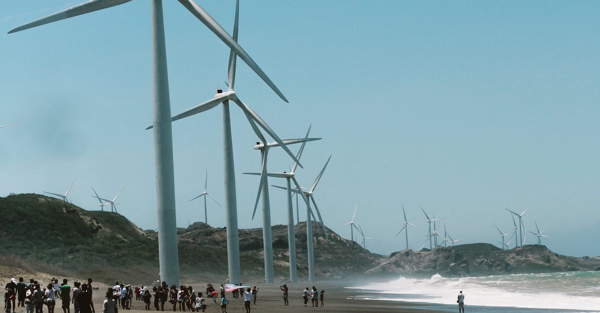 How to Choose the Right Wind Energy Policy